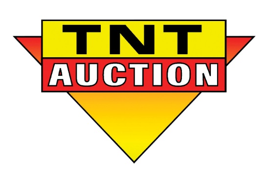 STATE OF NEVADA TREASURER'S OFFICE AUCTION