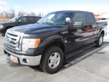 2011 FORD F150 4X4