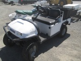 COLUMBIA GOLF CART