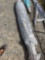 LARGE UMBRELLA