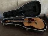 GUITAR AND CASE