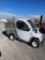 2007 GEM ES CART