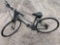 GIANT ESCAPE BIKE