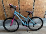 RALLYE BIKE