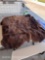 BISON HIDE