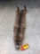 BOBCAT PELT