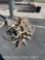 MISC ELK ANTLERS