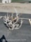MISC ELK ANTLERS