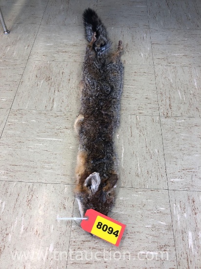 FOX PELT