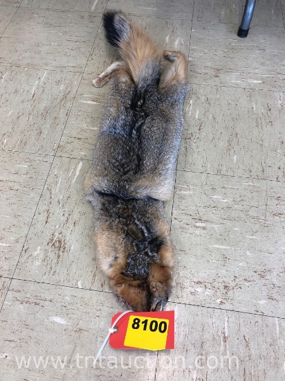 FOX PELT