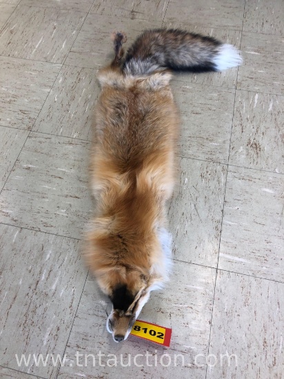 FOX PELT