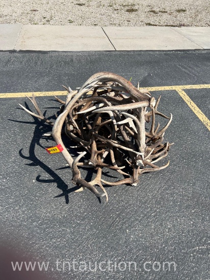 MISC ELK ANTLERS
