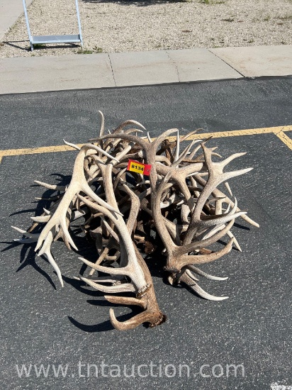 MISC ELK ANTLERS