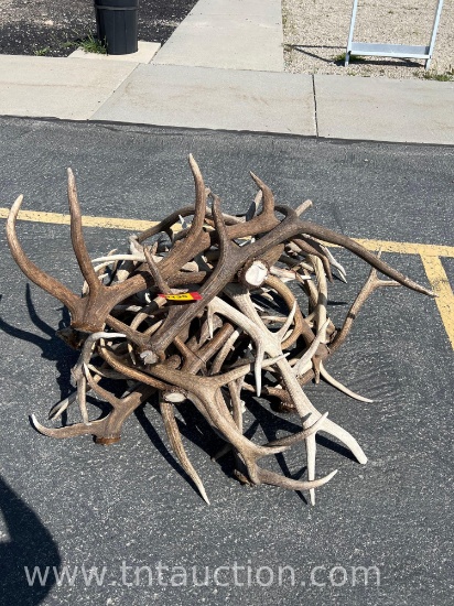 MISC ELK ANTLERS