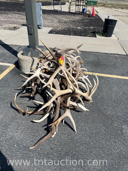 MISC ELK ANTLERS