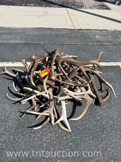 MISC ELK ANTLERS