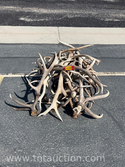 MISC ELK ANTLERS