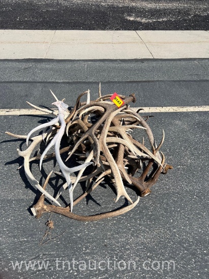 MISC ELK ANTLERS