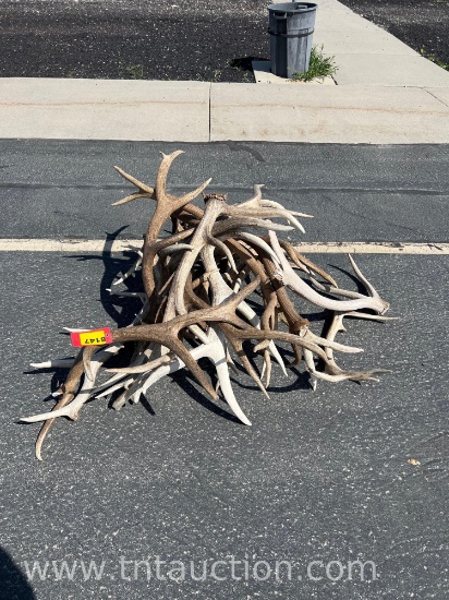 MISC ELK ANTLERS