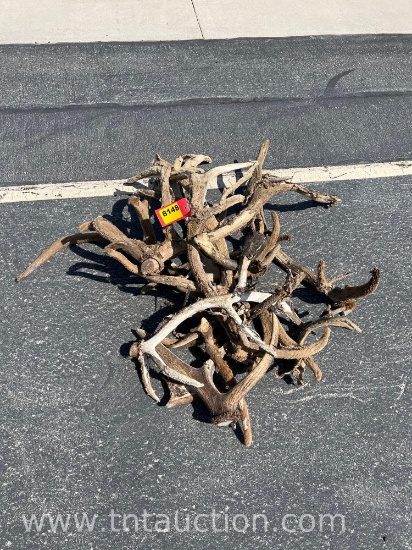 MISC ELK ANTLERS VELVET