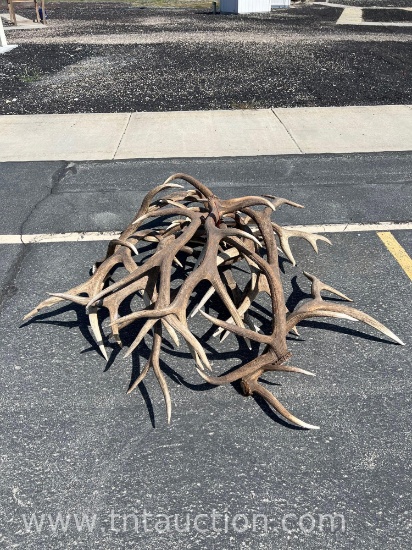 MISC ELK ANTLERS