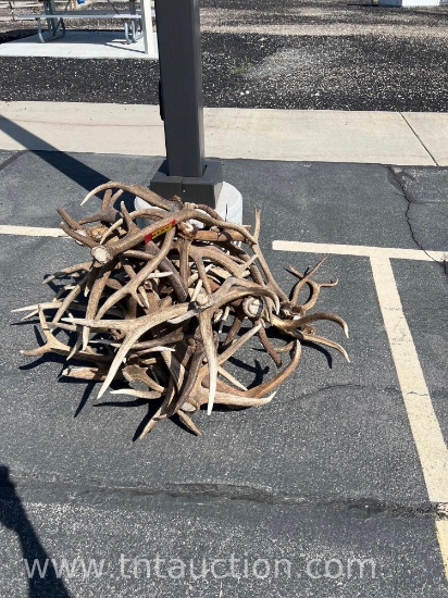 MISC ELK ANTLERS