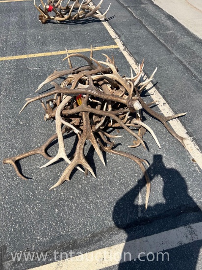 MISC ELK ANTLERS