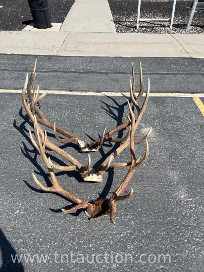 3 ELK HEADS ANTLERS