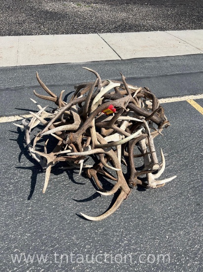 MISC ELK ANTLERS