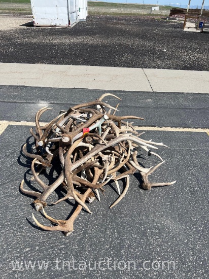 MISC ELK ANTLERS