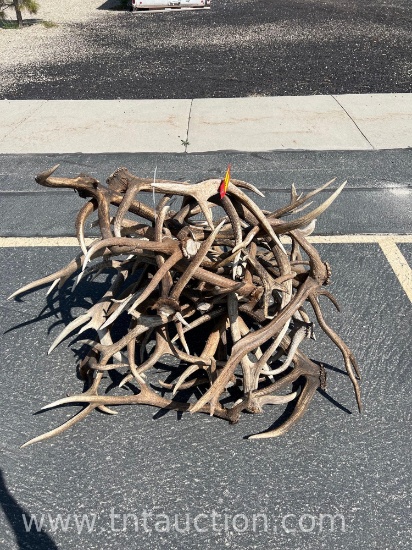 MISC ELK ANTLERS
