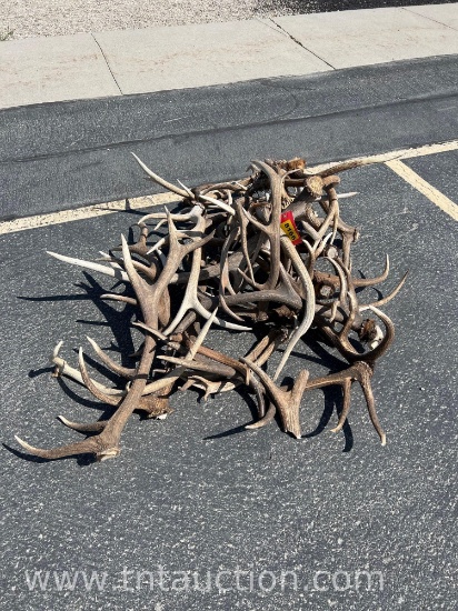 MISC ELK ANTLERS