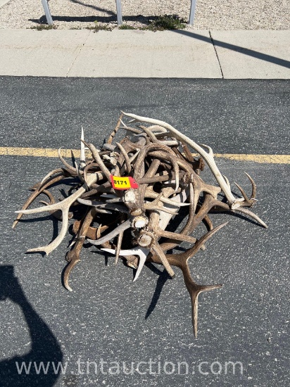 MISC ELK ANTLERS