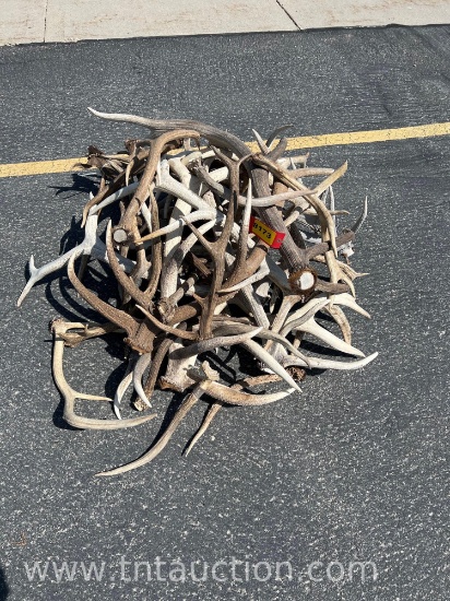 MISC ELK ANTLERS