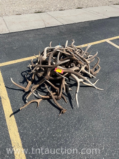 MISC ELK ANTLERS