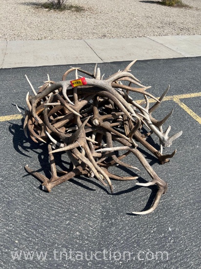 MISC ELK ANTLERS