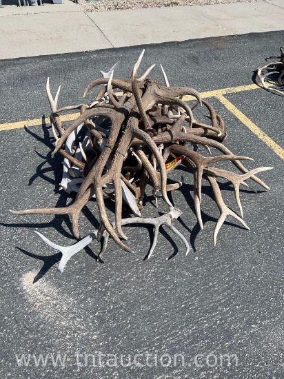 MISC ELK ANTLERS