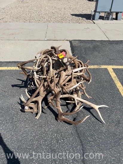MISC ELK ANTLERS