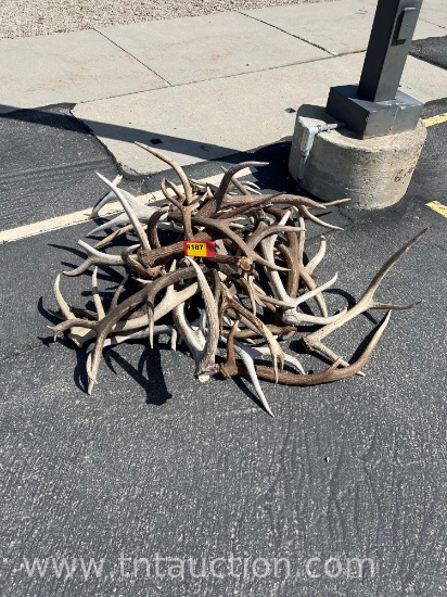 MISC ELK ANTLERS