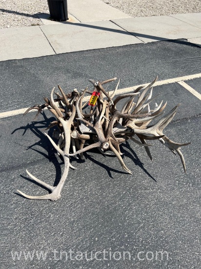 MISC ELK ANTLERS
