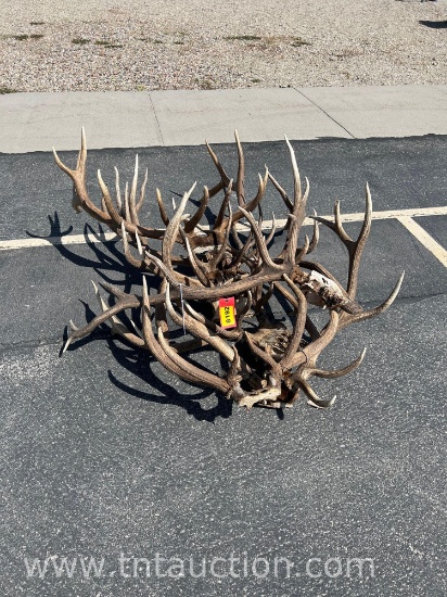 MISC ELK ANTLERS