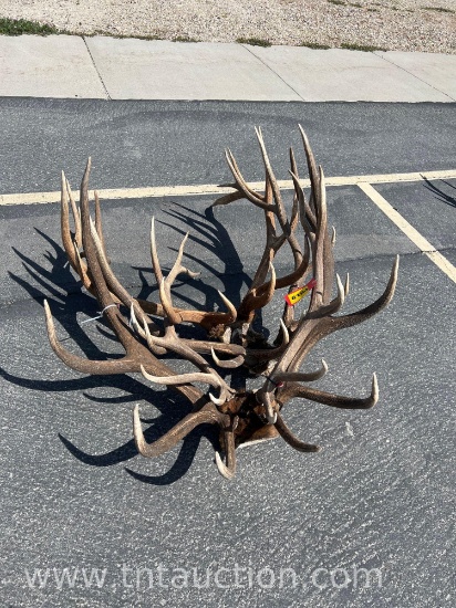 MISC ELK ANTLERS
