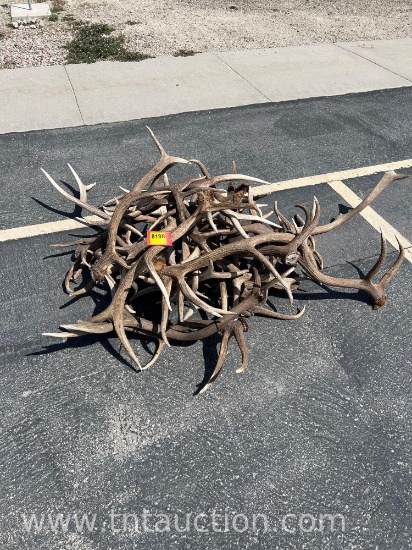 MISC ELK ANTLERS