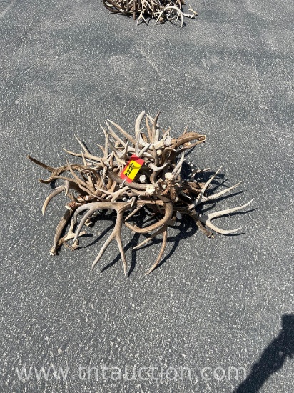 MISC DEER ANTLERS