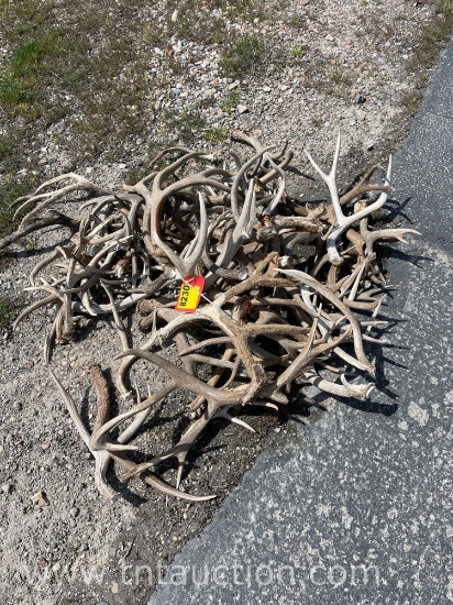MISC DEER ANTLERS