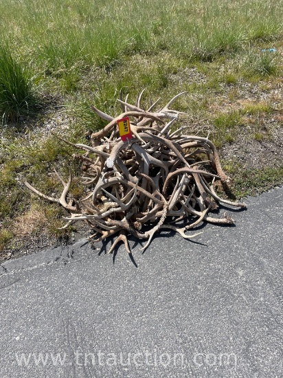 MISC DEER ANTLERS