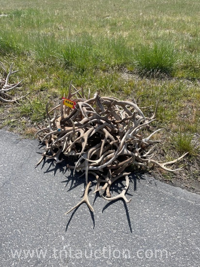 MISC DEER ANTLERS