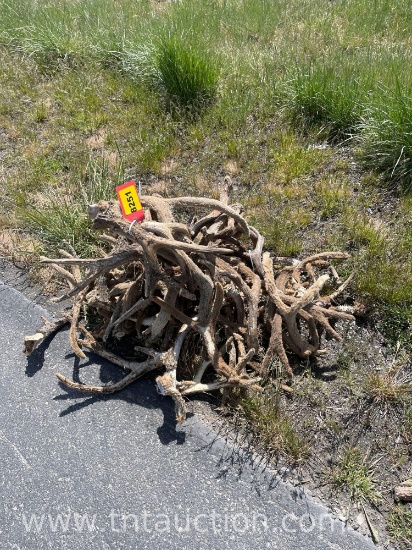 MISC VELVET DEER ANTLERS