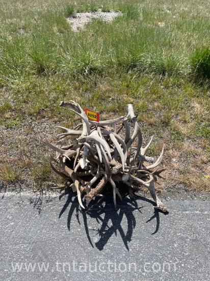 MISC DEER ANTLERS