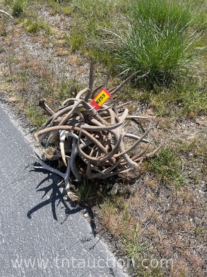 MISC DEER ANTLERS